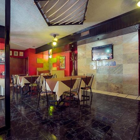 Hotel Torre Monterrey Bagian luar foto